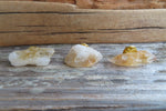 Raw Citrine Tie Tack