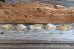 Raw Citrine Tie Tack