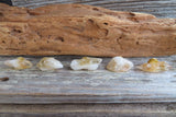 Raw Citrine Tie Tack