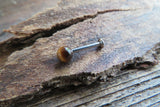 Tiger Eye Natural Stone Cartilage Labret Monroe Tragus Flatback Surgical Steel Barbell Piercing 16G (1.2mm) 6mm 8mm 10mm
