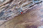 Black Widow Spider Crystal Curve Eyebrow Rook Bar Ring 16g (1.2mm) Piercing