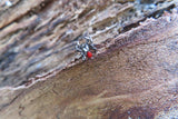 Black Widow Spider Crystal Curve Eyebrow Rook Bar Ring 16g (1.2mm) Piercing