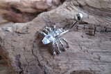 Petite Clear Crystal Spider Belly Ring 14g (1.6mm) Piercing