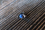 White Fire Opal Spike Vertical Lip Internally Threaded Surgical Steel Barbell Curve Eyebrow Ring 16G (1.2mm) Piercing