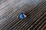 Blue Fire Opal Spike Vertical Lip Internally Threaded Surgical Steel Barbell Curve Eyebrow Ring 16G (1.2mm) Piercing