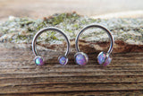 14G & 16G Purple Opal Horseshoe Surgical Steel Septum Daith Rook 14G (1.6mm) 16G (1.2mm) Piercing 8mm 10mm 12mm