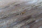 Lot of Two TINY Nose Stud 14K Gold over Sterling Silver 925 Micro Nostril Piercing 22 Gauge 1.5mm or 2mm Cubic Zirconia Crystal
