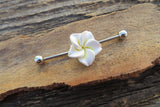 White Flower Cos Play Girly Surgical Steel 316L Barbell Industrial Small Balls 14G (1.6mm) Piercing 38mm Hawaiian Flower